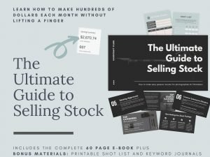 Ultimate Guide to Selling Stock Ebook