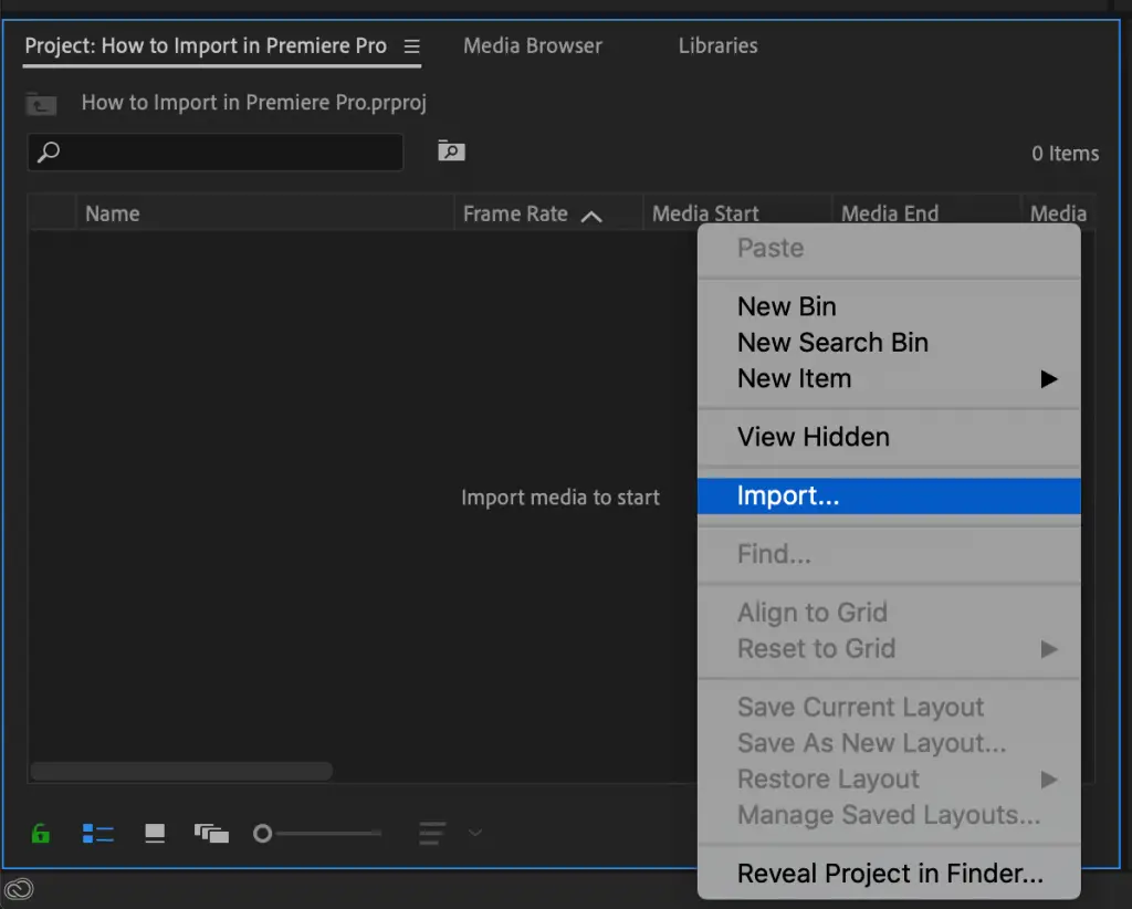 Right click in program panel to import new footage