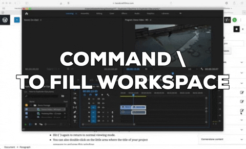 Hit Command \ to fill Premiere Pro workspace